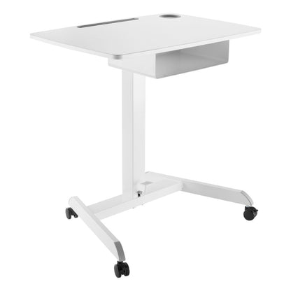 Kantek STS330W Large Mobile Sit to Stand